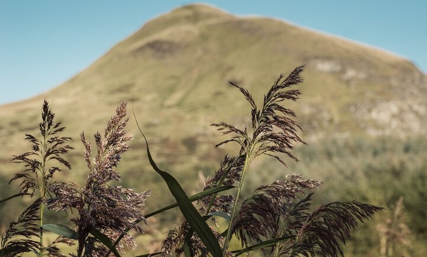 Image 7: Glengoyne Distillery Tour with Whisky and Chocolate Tasting