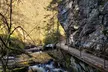 Schwarzwald: Selbstgeführte Wanderung, Ravennaschlucht - Second Medium