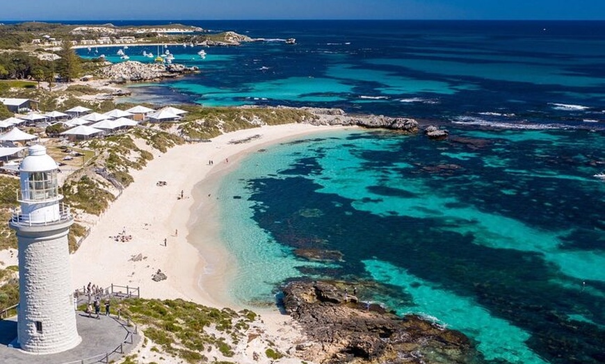 Image 8: Quokkas Delight Rottnest Island