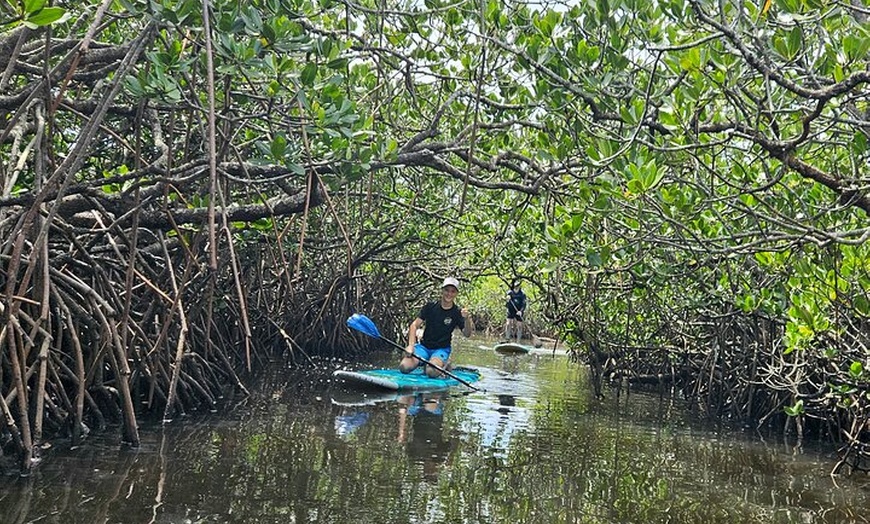 Image 9: Noosa Stand Up Paddle Group Lesson