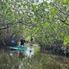 Image 9: Noosa Stand Up Paddle Group Lesson