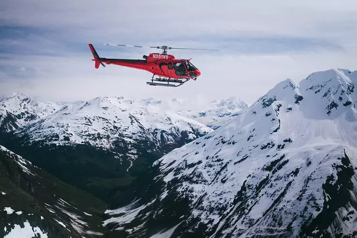 Anchorage Summer Glacier Dogsledding Tour