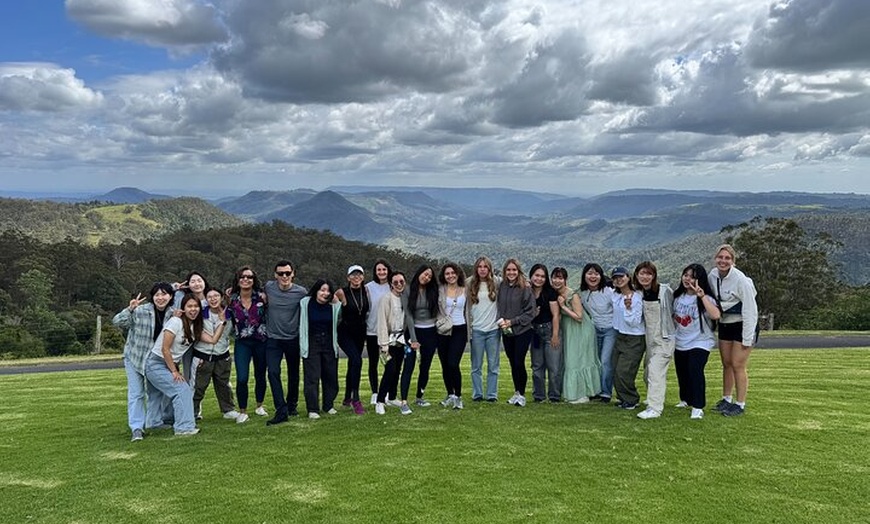 Image 13: Lamington & Tamborine Day Tour: O'Reilly's, Curtis Falls & Sunset