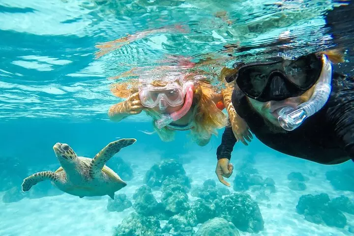 Snorkel with Turtles and Free Videos Hilo - Primary Image