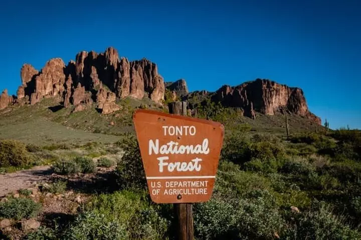 From Phoenix: Offroad Sonoran Desert and Sunset Shared Tour - Primary Image
