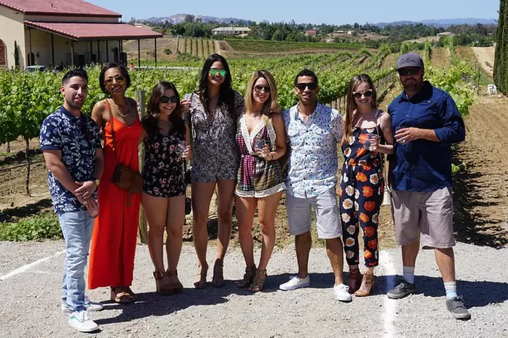 Deluxe wine tasting tour & Lunch - Primary Image