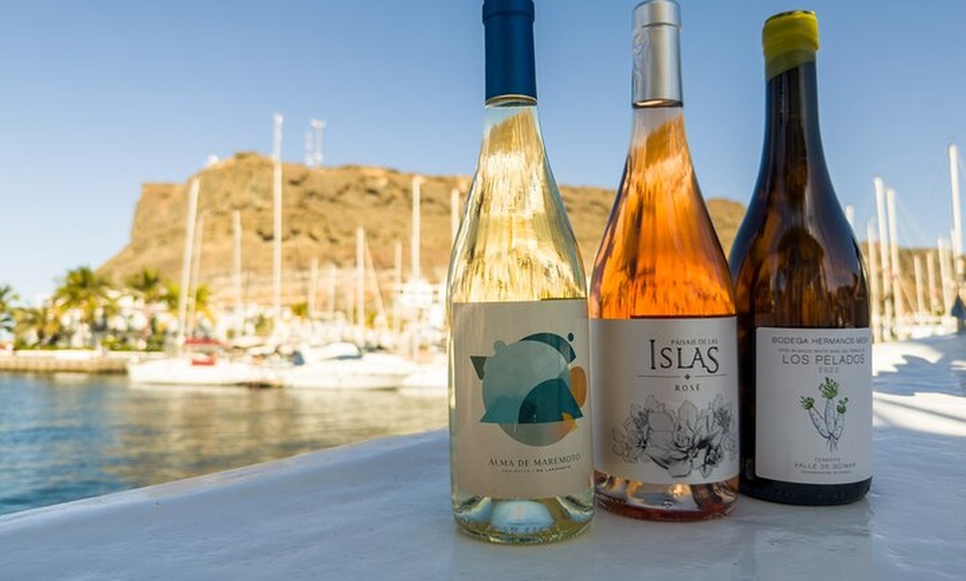 Image 8: Experiencia Gourmet en barco desde Puerto de Mogán