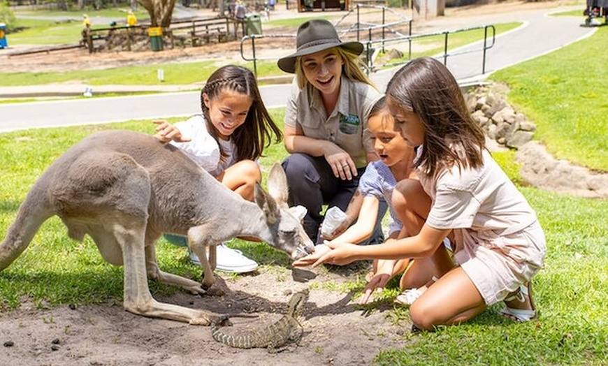 Image 3: Currumbin Wildlife Sanctuary & Burleigh Heads Private Tours