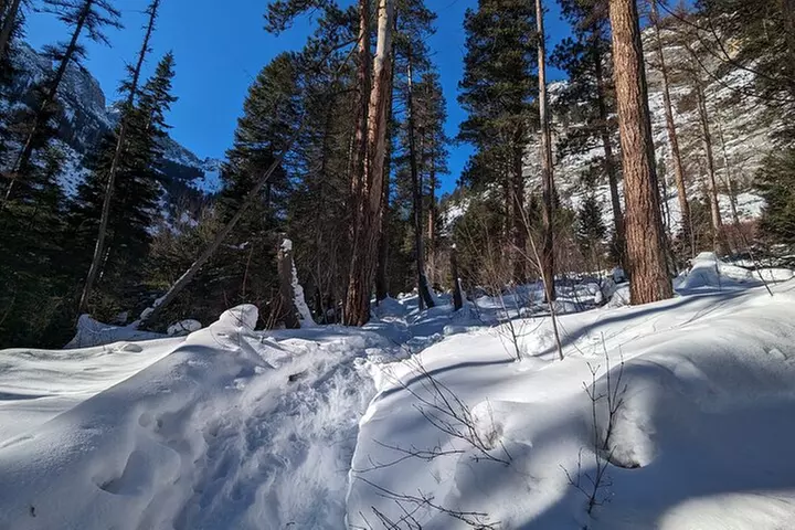 Leisurely Snowshoeing through the Bitterroot Mountains