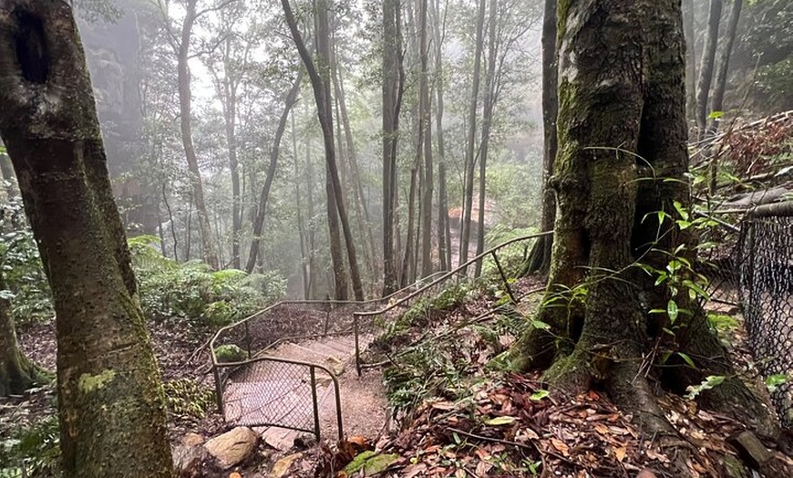 Image 5: Blue Mountains Day Trip + Sydney Zoo +Three Sisters + Waterfalls