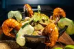 $15 For $30 Worth Of Mexican Cuisine - Second Medium