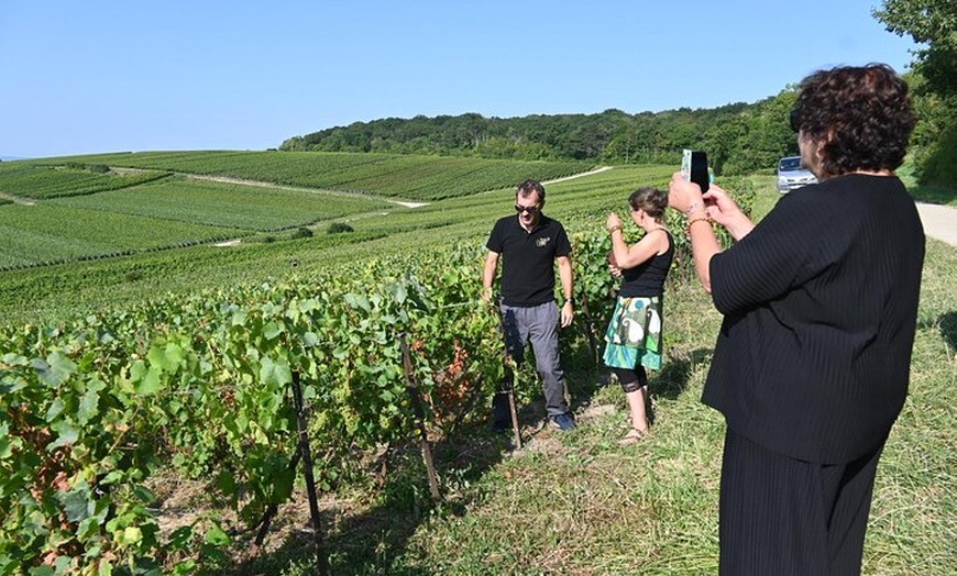 Image 5: Demi-journée groupe privé dégustation Champagne Domaine Coutant