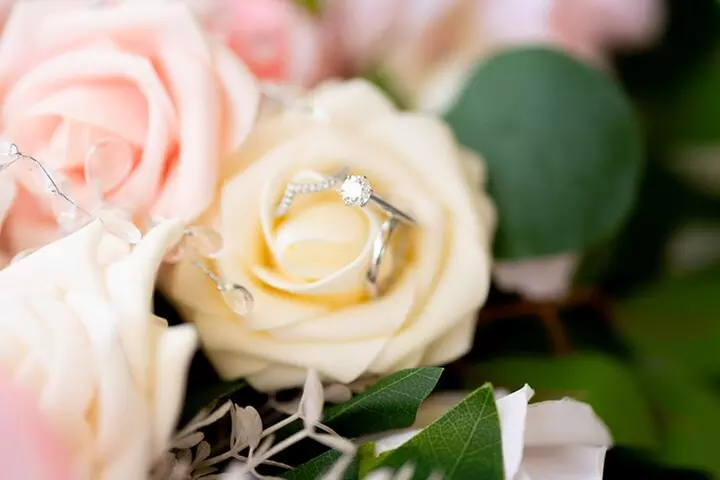 Island of Magic Private Wedding Tour