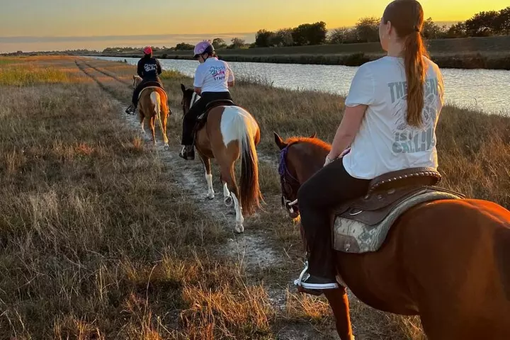 Horseback Riding in Miami
