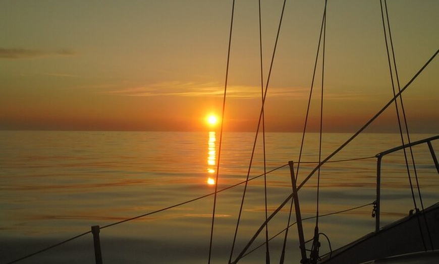 Image 5: Private Boat Tour from Helford River
