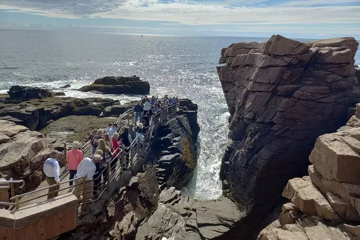 Acadia Woody's "Cadillac Loop" 3 Hour Driving Tour