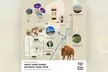 Great Sand Dunes Self Guided National Park Audio Tour - Second Medium
