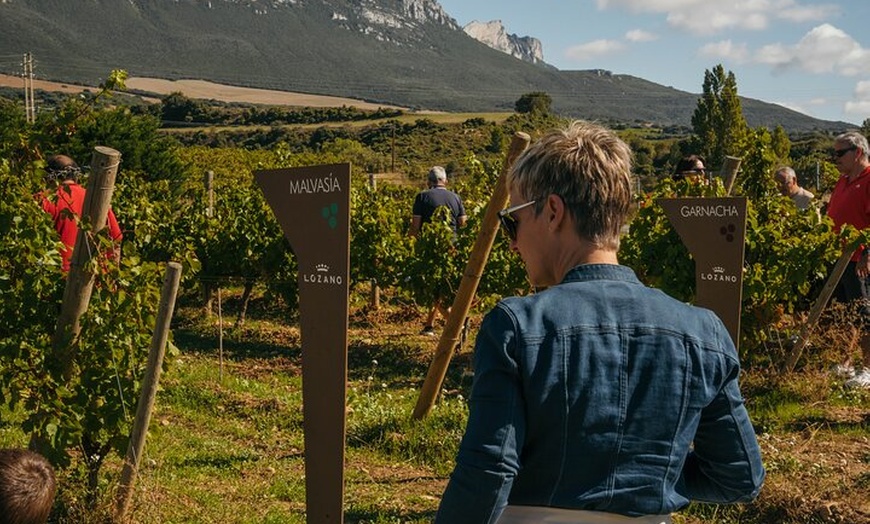 Image 38: Clase magistral de acceso y degustación exclusiva de bodegas secret...