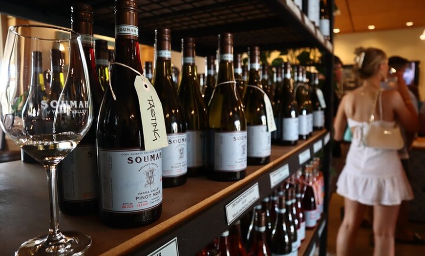 Image 15: Small Group Yarra Valley: Redwoods Forest & Premium Wine Tour