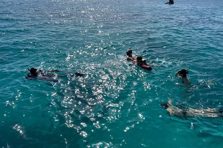 Full Charter All Inclusive for Icacos and Palomino