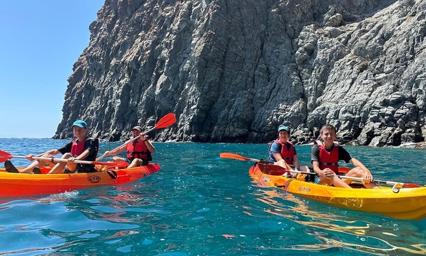 Image 3: Kayak con delfines y tortugas y snorkel en Palmmar