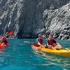 Image 3: Kayak con delfines y tortugas y snorkel en Palmmar