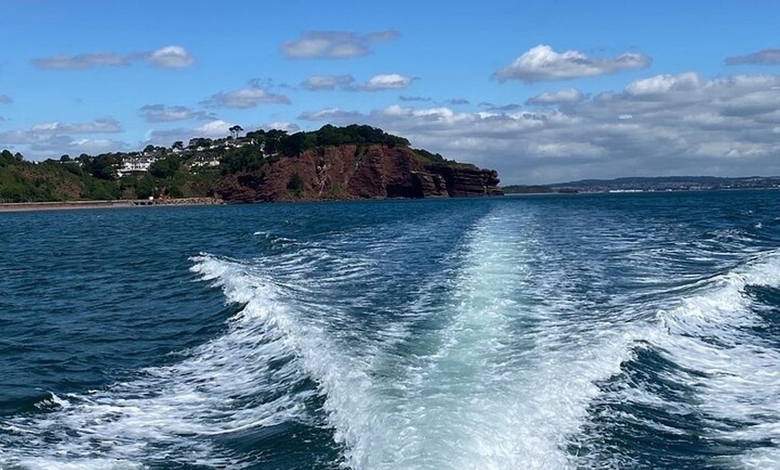 Image 13: Luxury Costal Rib Tour to Babbacombe Bay from Exmouth Marina