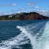 Image 13: Luxury Costal Rib Tour to Babbacombe Bay from Exmouth Marina
