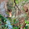 Image 12: Explora el Monasterio de Piedra y el Reino de Aragon desde Madrid