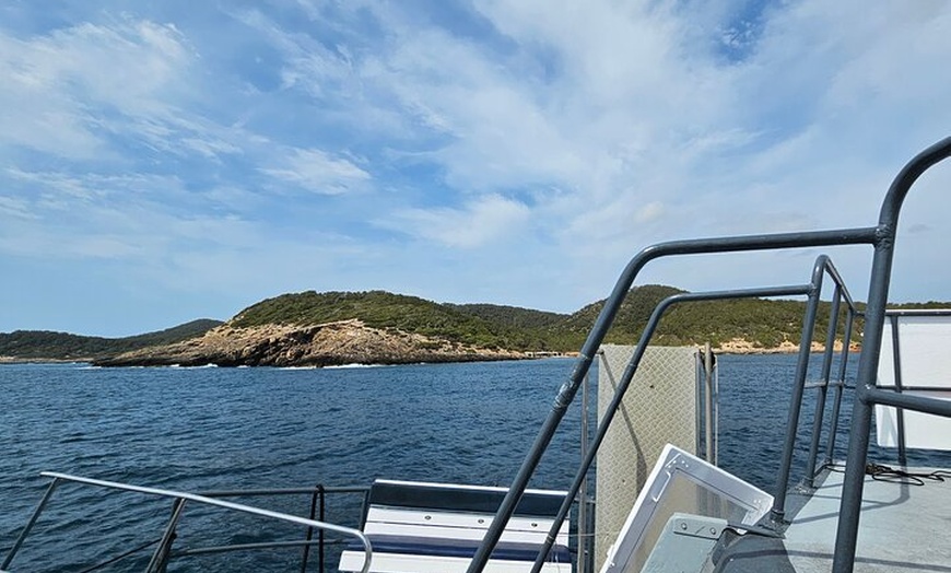 Image 37: Excursión de un día a Illetas en Formentera con Paella y Bebida