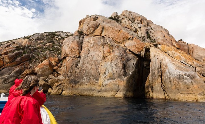 Image 6: Wilsons Promontory Wilderness Cruise from Tidal River