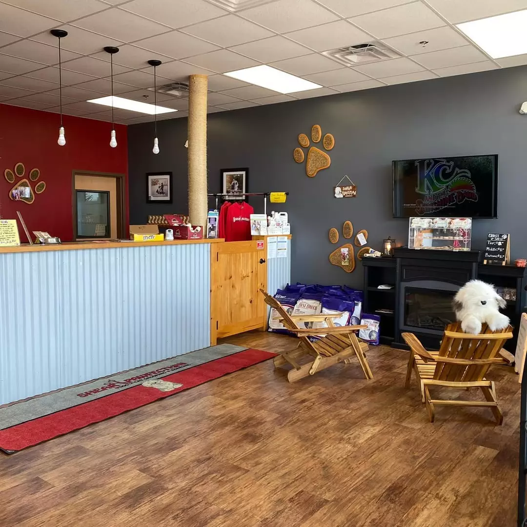 $15 For $30 Worth Of Dog Daycare