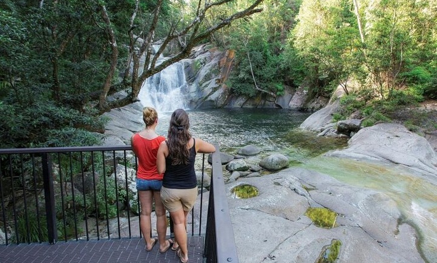 Image 10: Cassowary Coast Goondoi Culture Tour