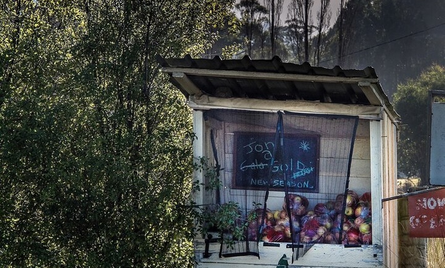 Image 5: Huon Harvest (wine, cider & local produce)