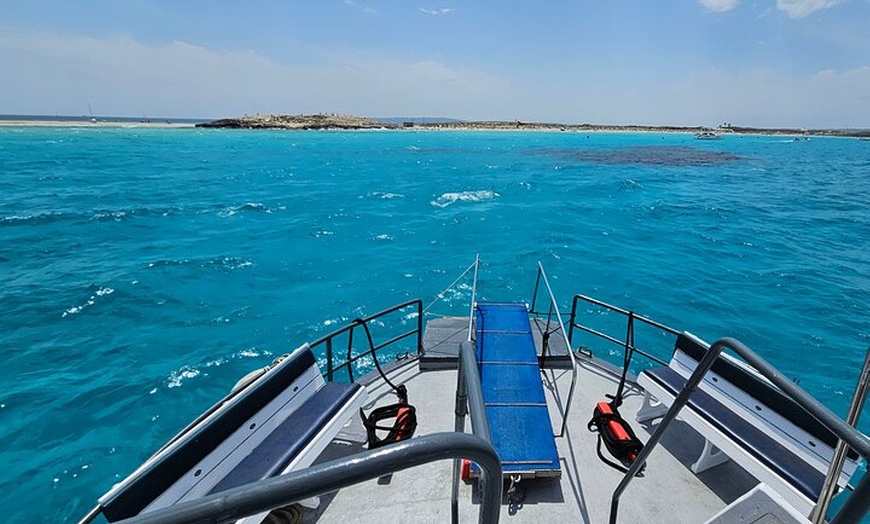 Image 39: Excursión de un día a Illetas en Formentera con Paella y Bebida