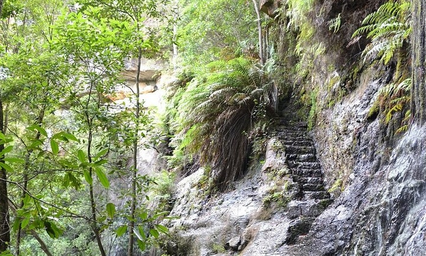 Image 8: Self Guided Electric Bicycle Tour of Bundanoon