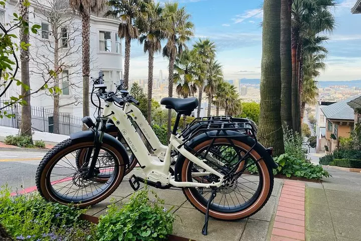 Summer of Love San Francisco Guided eBike Tour Golden Gate Park