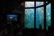 Monterey, Pebble Beach and Carmel Tour With Optional Aquarium - Image 4