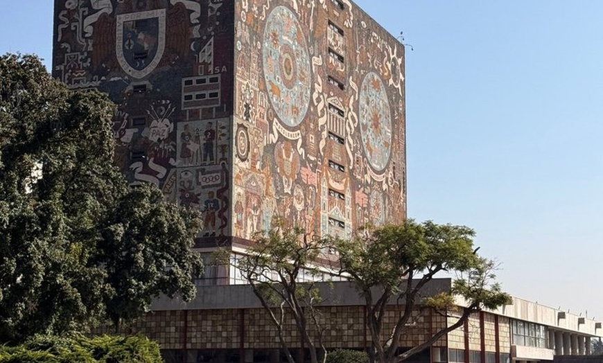 Image 19: Xochimilco floating gardens, Coyoacan and UNAM murals