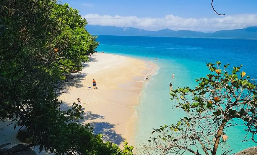 Image 11: Whale Watching Tour & Fitzroy Island From Cairns
