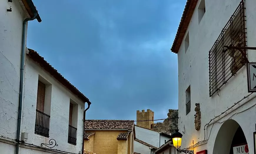 Image 11: Tu Tour Privado en Van Por La Costa Blanca