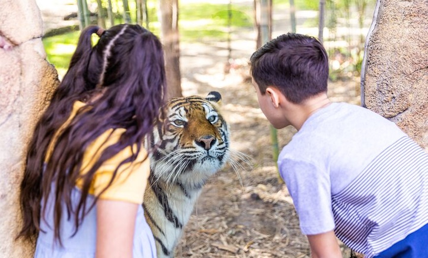 Image 8: 2-Day Dreamworld and SkyPoint Admission Ticket