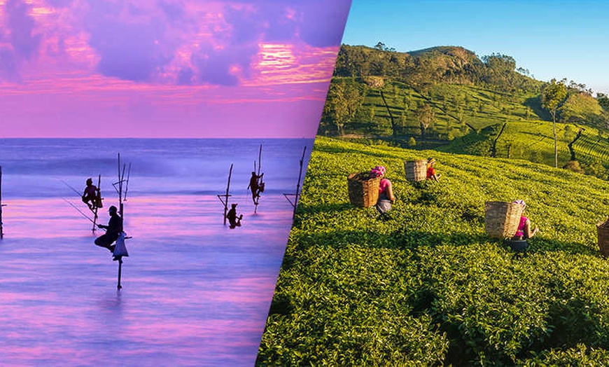 Image 1: ✈ SRI LANKA | Colombo - Découverte des 5 sens au Sri Lanka 4* - Cir...