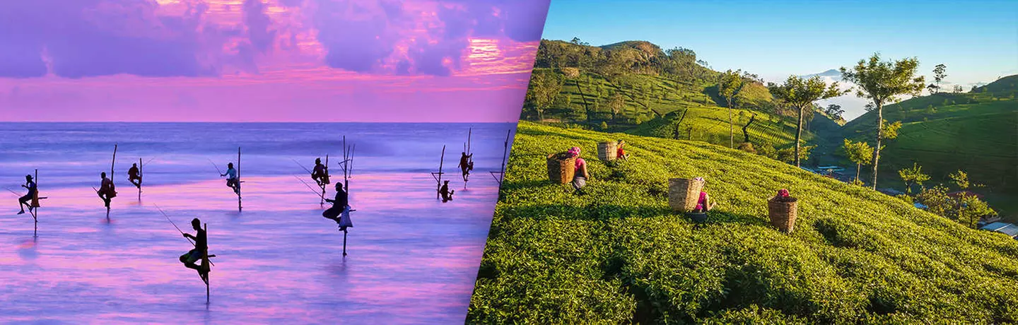 ✈ SRI LANKA | Colombo - Entdeckung der 5 Sinne in Sri Lanka 4*, 8 N...