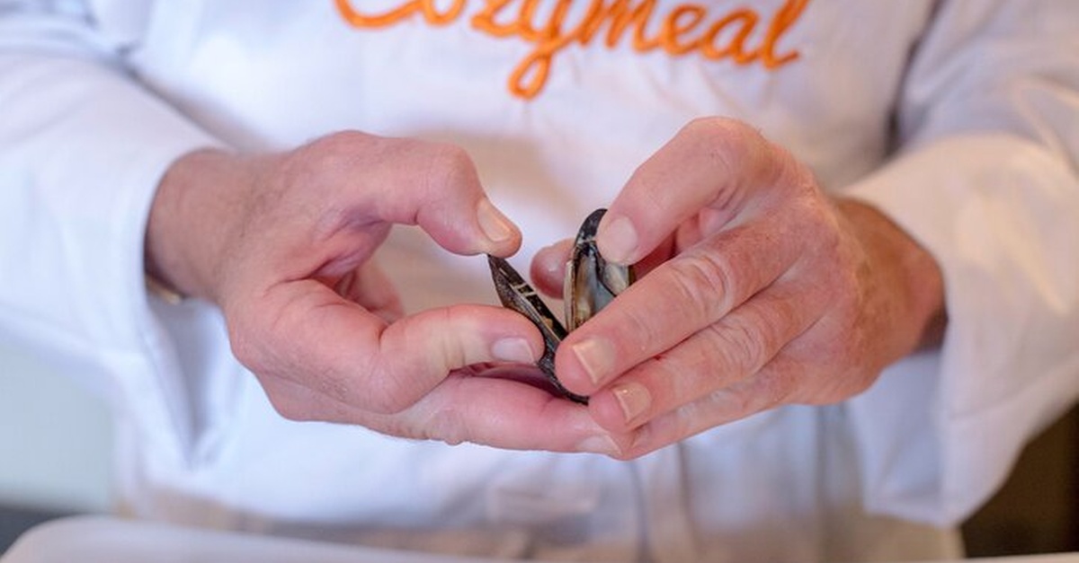 Clase de cocina de tapas con vino en Barcelona