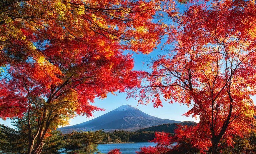 Image 2: ✈ JAPON | Tokyo - the b ginza 3*, 3 nuit - Centre Ville