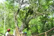 Playa del Carmen Maya Adrenaline Day ATV Zipline and Cenote - Second Medium
