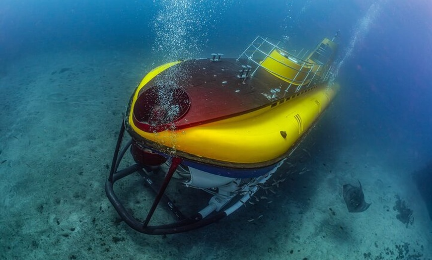 Image 14: Tour Submarino con Recogida en Hotel Tenerife Sur
