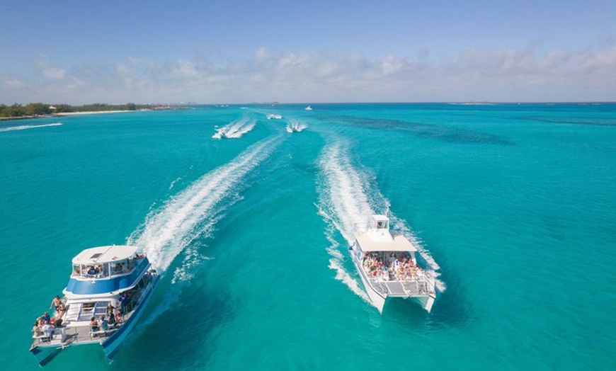 Image 10: Rose Island Snorkeling, Lunch, Rum Punch and Swimming Pigs