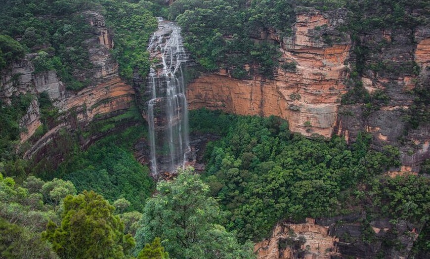 Image 2: Explore The Blue Mountains with your local guide - Full Day Tour